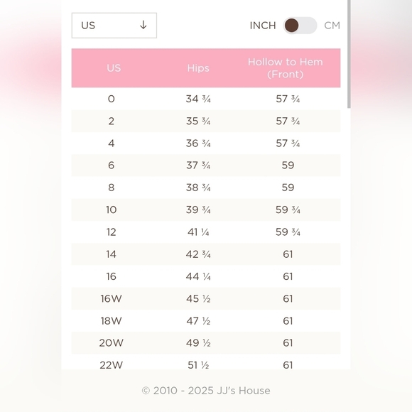 NWT JJ's House Black A-Line V-neck Chiffon Ruffle Dress Zip Womens Size 22 - Picture 13 of 13